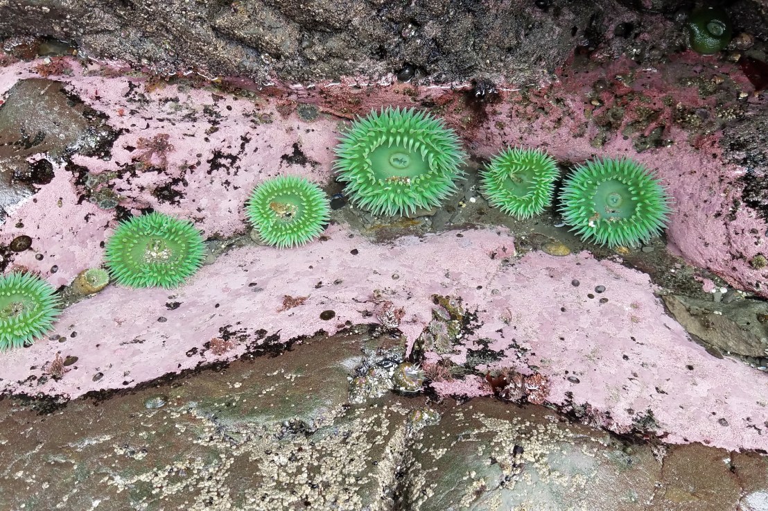 Toxic Relationships vs. Abusive&nbsp;Relationships