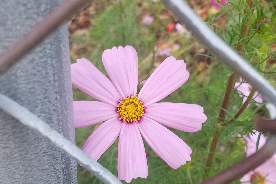 How to Fix Toxic or Abusive&nbsp;Relationships