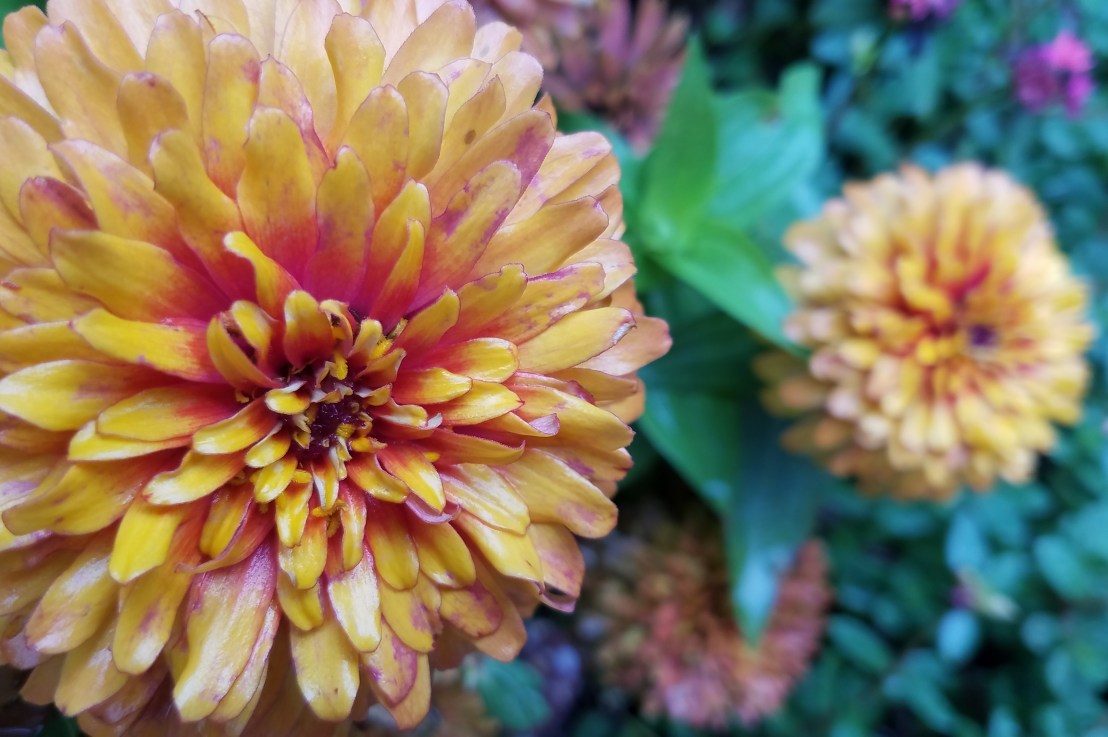 No, No One Is&nbsp;Cancelled