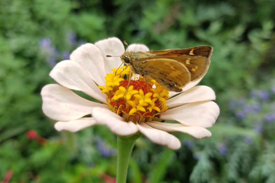 On Being “Seducible”