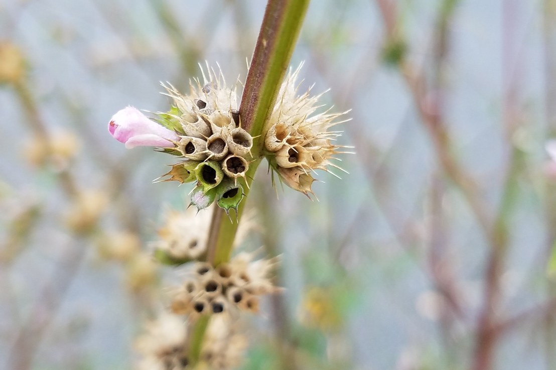 Violence Towards Sexual&nbsp;Assailants